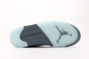 Air Jordan 5 Retro Blue Bird 3