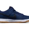 Nike Dunk Low Iso Navy