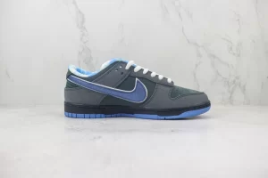 Concepts x NK SB Dunk Low 