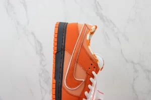 Concepts x NK SB Dunk Low 