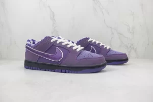 Concepts x NK SB Dunk Low 