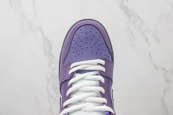 Concepts x NK SB Dunk Low "Purple Lobster"