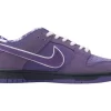 Concepts x NK SB Dunk Low "Purple Lobster"