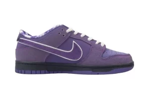 Concepts x NK SB Dunk Low "Purple Lobster"