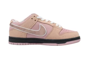 Tagzfootwear X NK Dunk SB Low