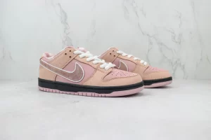 Tagzfootwear X NK Dunk SB Low